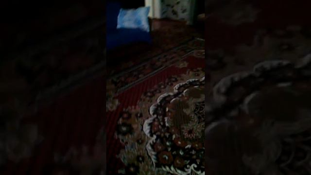 Домашний футбол!!!