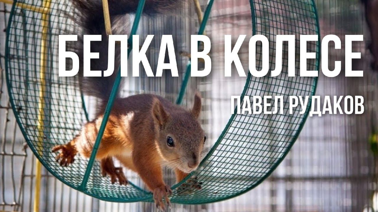 31.05 Екатеринбург. "Белка в колесе" - Павел Рудаков смотреть онлайн