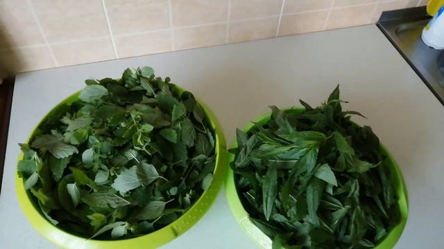 Мастер-Классы по Рукоделию и Творчеству