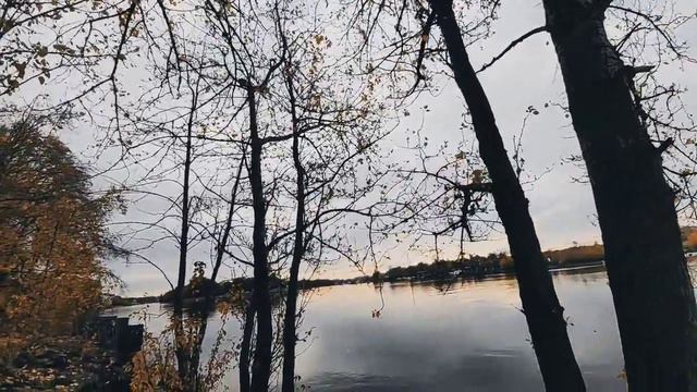 VID 20231024 090716 Всегда любил, теперь люблю душою..(Франческо Петрарка) Павел Васильев Лахтински смотреть онлайн