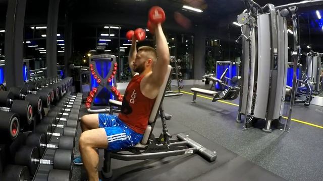Жим гантелей стоя/сидя смотреть онлайн