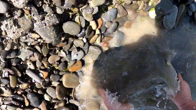 Нокта Макро Крузер Голд в солёной воде Черного моря смотреть онлайн