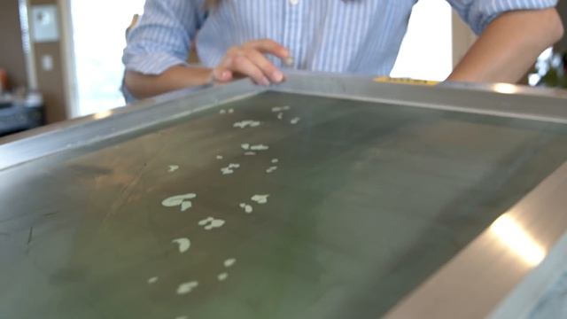 I Custom Printed Fabric For Cinderella's Work Dress