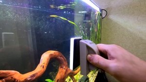 Обзор и тест. Sunsun MB-095 магнитный скребок для аквариума плавающий.