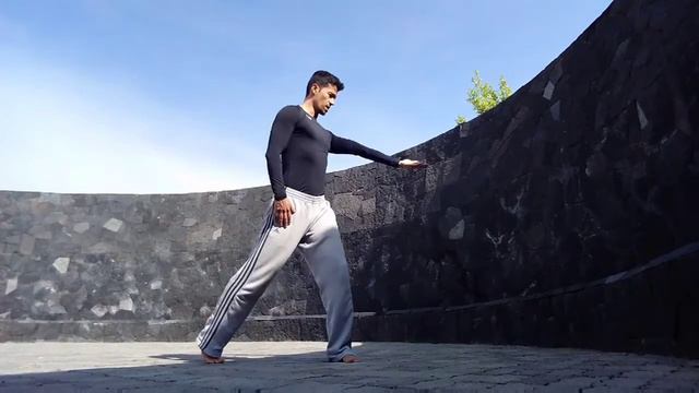 Brazos de Wushu en danza contemporánea смотреть онлайн