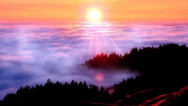 Peaceful Mind: Stillness & Inner Peace for Deep Sleep, Deep Healing, Powerful Meditation смотреть онлайн