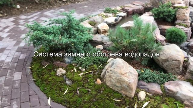 Мини-пруд с альпийской горкой и водопадами. Натуральная Экосистема. Альпинарий. #ЛандшафтныйДизайн смотреть онлайн