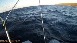 Управление лодкой ПВХ на волне