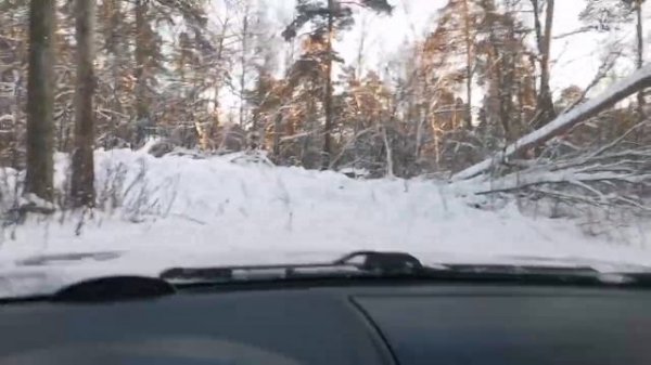 Зимний выезд в лес на Nissan X-Trail'07 T31