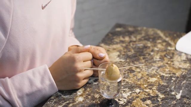 Как вырастить авокадо дома смотреть онлайн