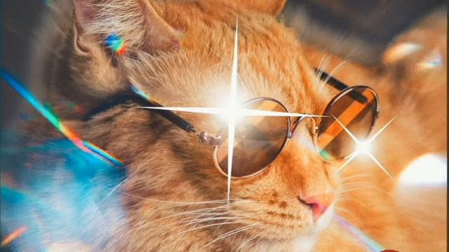 А ты милый мой кудряшка #рекомендации #рек #музыка #симбочка смотреть онлайн