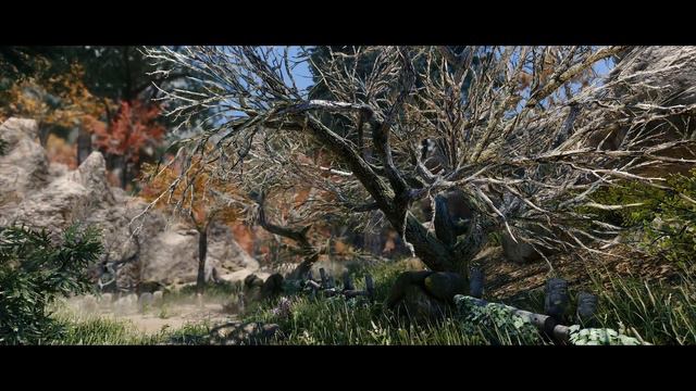 Skyrim SE 4K 2019 | High Realism Custom Trees Build Falkreath | Next-gen Graphics смотреть онлайн