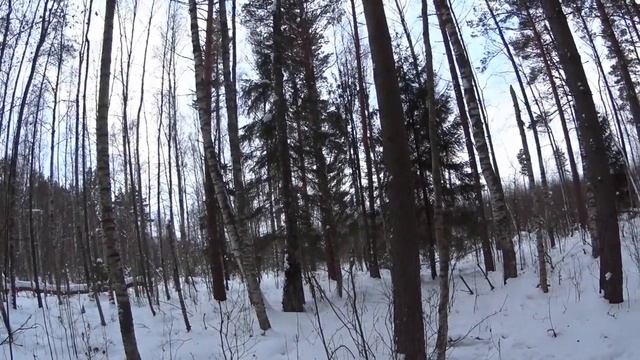Охота на зайца 16 01 19 смотреть онлайн