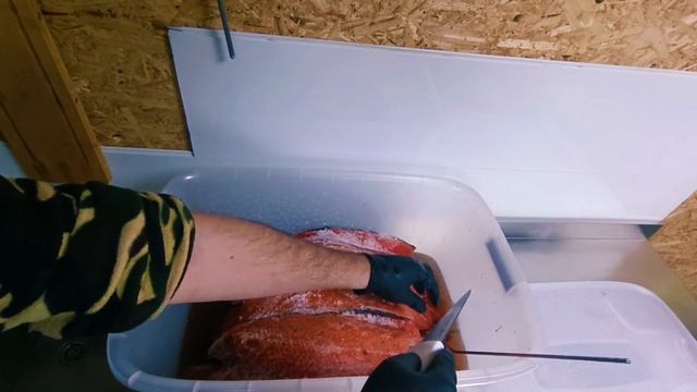 Исторические Открытия