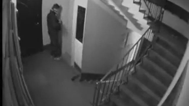Нагадил в подъезде. Видео с камеры наблюдения смотреть онлайн