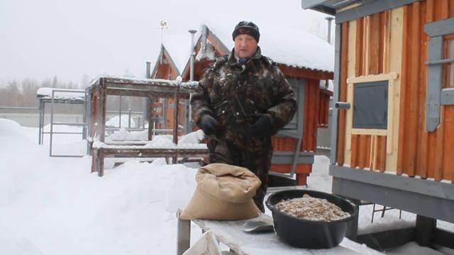 Самое полезное зерно для кур несушек. смотреть онлайн