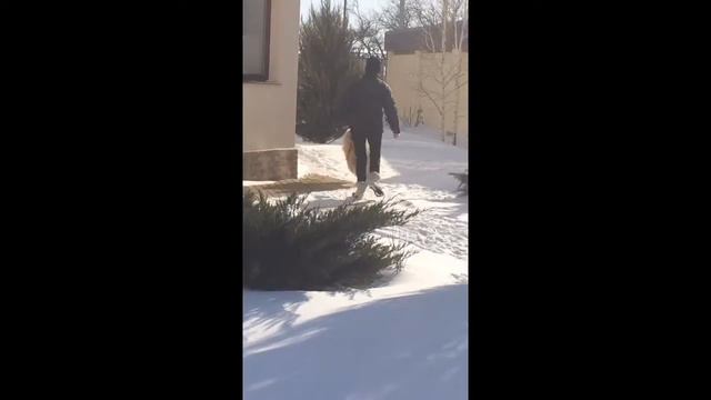 Чау, зима, снег. 4.02.2014 смотреть онлайн
