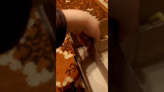 Супер лабиринт! смотреть онлайн