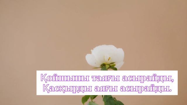 Еңбек туралы мақалдар | Нақыл сөздер Афоризмдер Мақал - мәтел