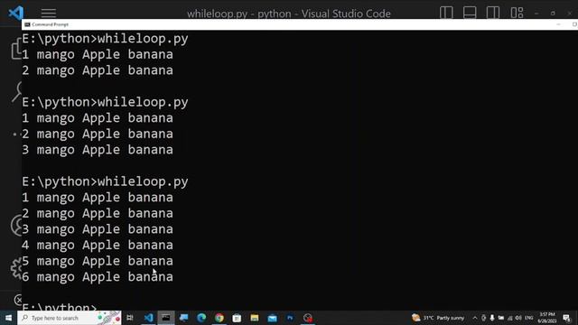 python While Loop for Beginner(Basic Info) смотреть онлайн