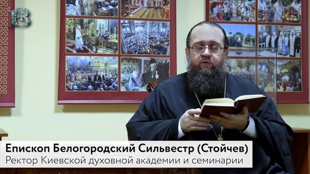 Еп. Сильвестр (Стойчев). Евангелие дня. Суббота 26-й седмицы по 50-це (Лк. зачало 49) смотреть онлайн