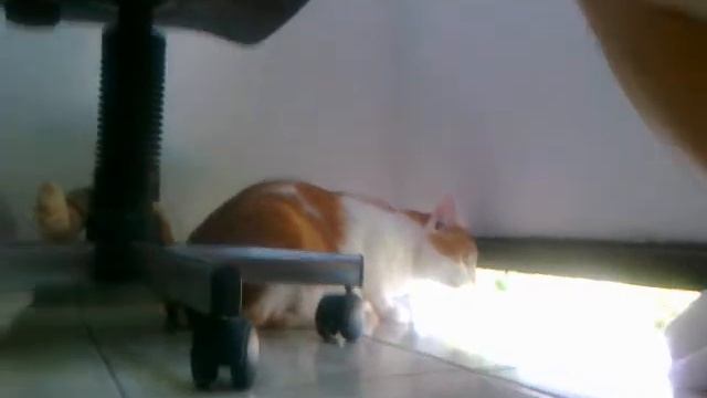 C:\fakepath\09062010008.mp4 смотреть онлайн