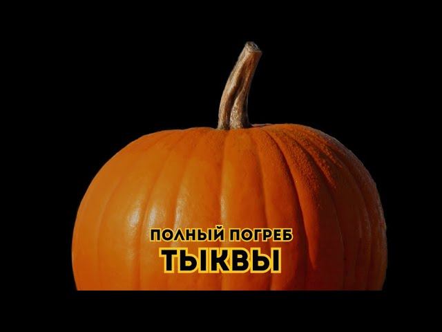 Тыквы. Полный погреб // Выпуск 3 смотреть онлайн