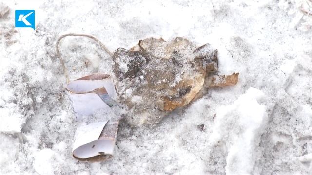 28 02 2022 Выбросить мусор в контейнер лень, а с балкона можно смотреть онлайн