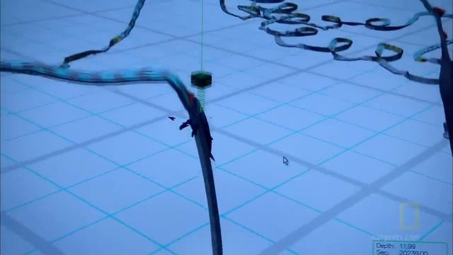 Рождение Океана