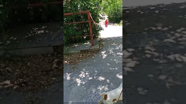 Глебучев овраг, Саратов смотреть онлайн