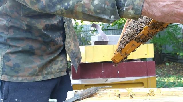 заставная доска для ульев! пасека 3.10.2021! пчеловодство! смотреть онлайн