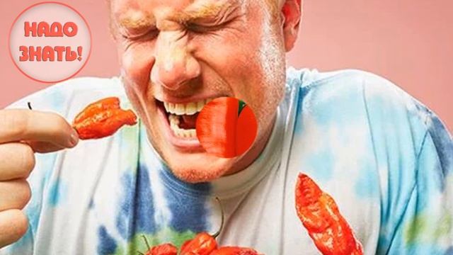 Почему бессмысленно запивать острый перец водой? смотреть онлайн