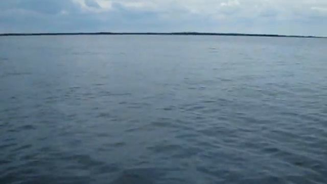 awesome dolphin encounter смотреть онлайн