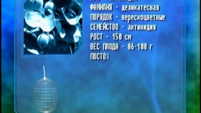 Биология 53. Насекомые светлячки. Киви. Пиявки — Академия занимательных наук смотреть онлайн