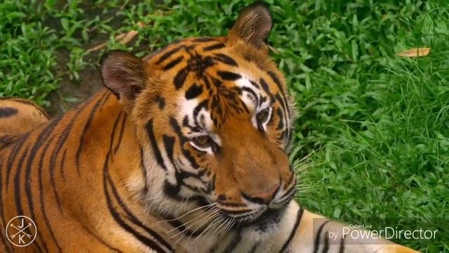 Сколько людей верят в Бога? смотреть онлайн