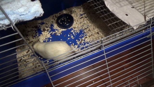 Мистическое искусство религии