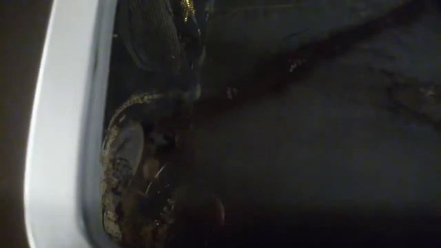 breadmaker 20200102 1 смотреть онлайн