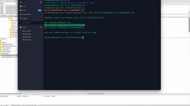 MiniFilms Java REST API part 4 смотреть онлайн