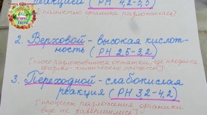 Какой торф НЕЛЬЗЯ использовать для рассады помидоров? Почему в кислом торфе желтеют листья у рассад