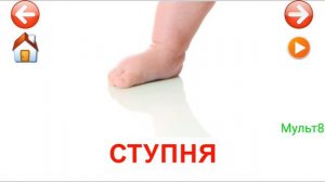 Учебные Карточки для детей #Домана Человек, Части тела на канале #Мульт8