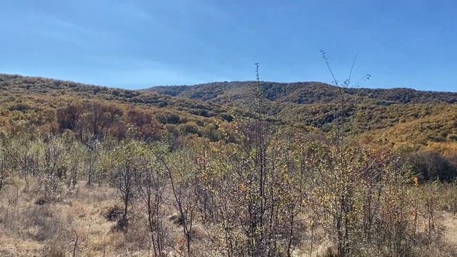 Горячий Ключ. Прогулка к Железистому роднику. смотреть онлайн