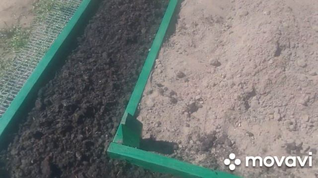 Клубничная пирамида. Борьба с кротами. смотреть онлайн