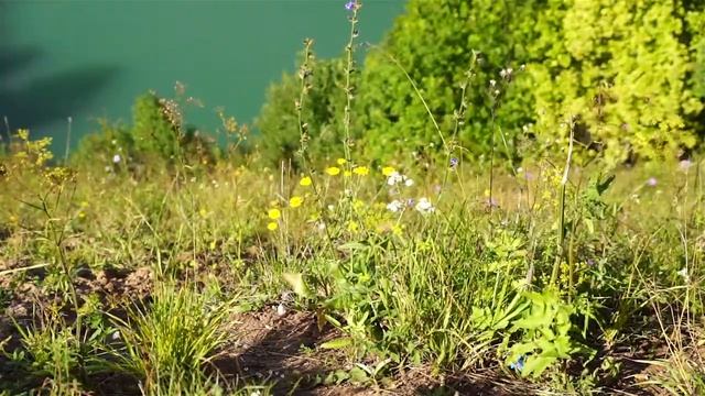 Жемчужина Марий Эл - озеро Морской глаз! смотреть онлайн