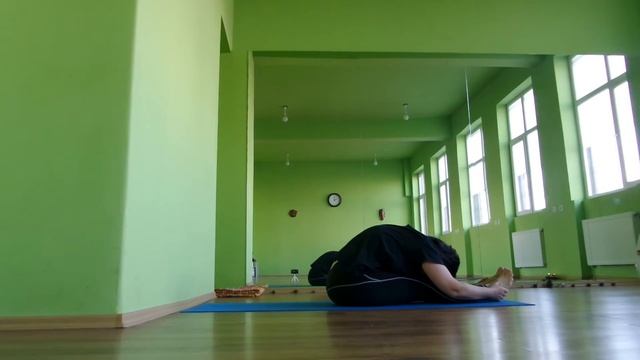 Асани носещи енергия и сила през