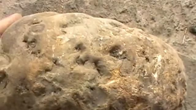 аммонит с белой смотреть онлайн