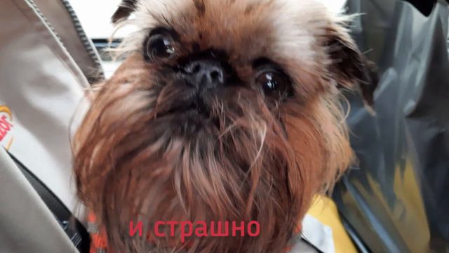 А мне всегда чего то не хватает: зимою лета; осенью весны смотреть онлайн
