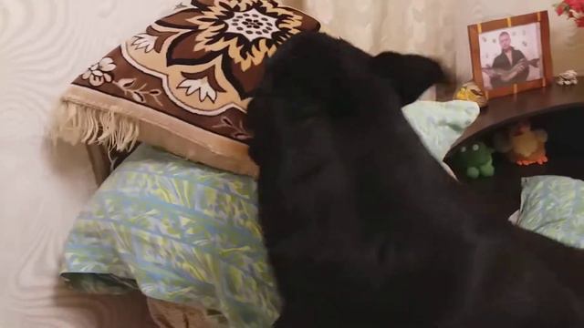 Джесси баю,бай смотреть онлайн
