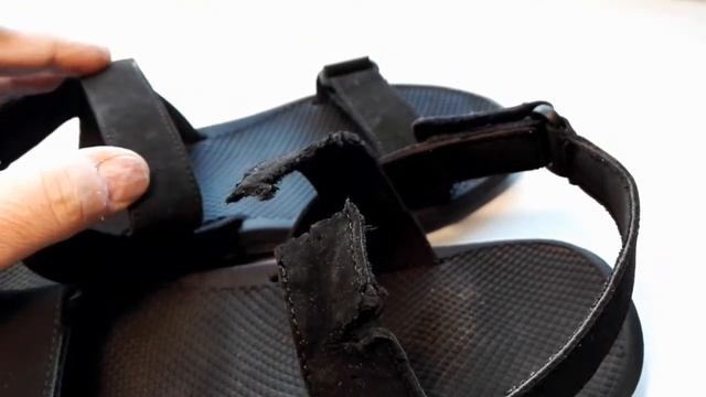 Такса порвала в клочья сандалии хозяина смотреть онлайн