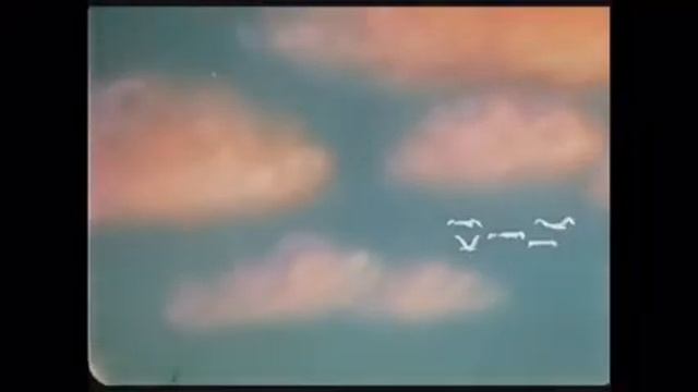 Аппликация «Прекрасный лебедь» смотреть онлайн