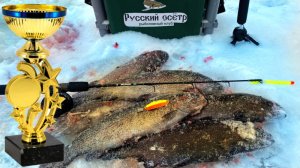 СЕМЕЧКА КОСИТ ФОРЕЛЬ Турнир по ловле форели Hard baits РК Русский осетр